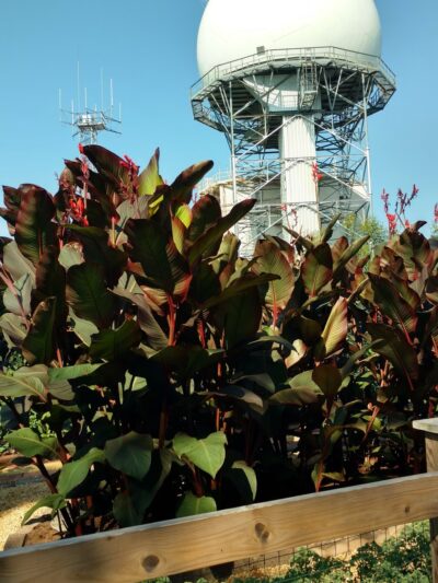 Pole Hill Park / Blueberry Hill Conservation Area - Gibbsboro, NJ