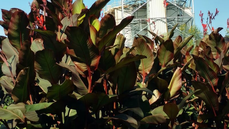 Pole Hill Park / Blueberry Hill Conservation Area - Gibbsboro, NJ