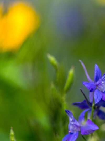 Lions Park - Gilbert, IA