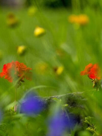 Lions Park - Gilbert, IA