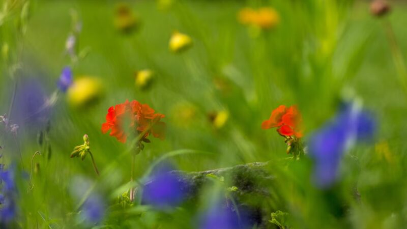 Lions Park - Gilbert, IA