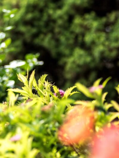 Lions Park - Gilbert, IA