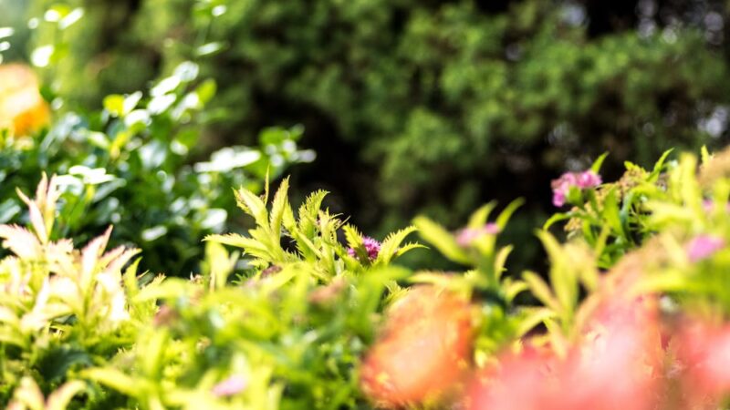 Lions Park - Gilbert, IA