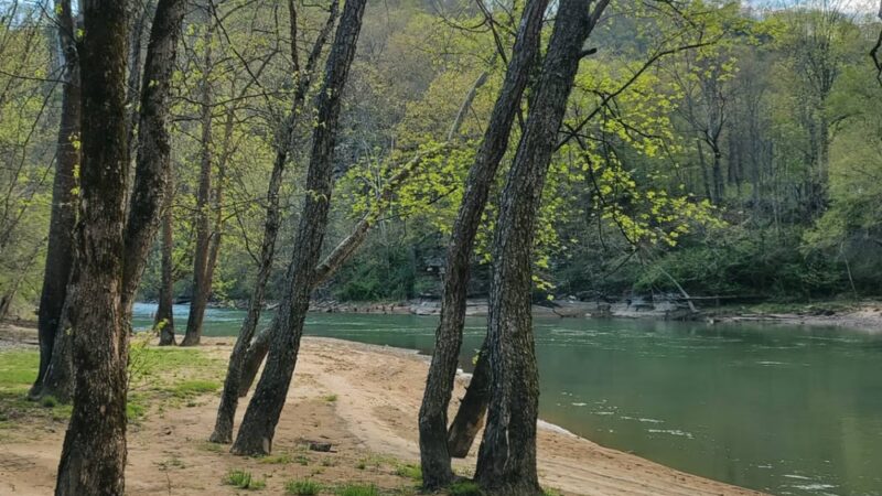 Gilbert Beach at Veteran's Park - Gilbert, WV