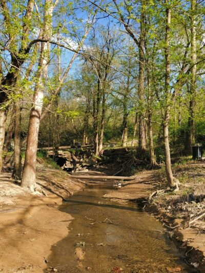 Gilbert Beach at Veteran's Park - Gilbert, WV