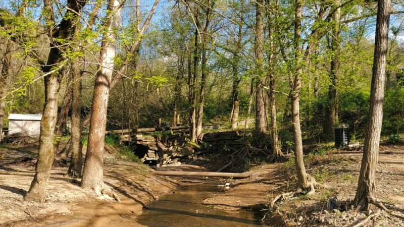 Gilbert Beach at Veteran's Park - Gilbert, WV