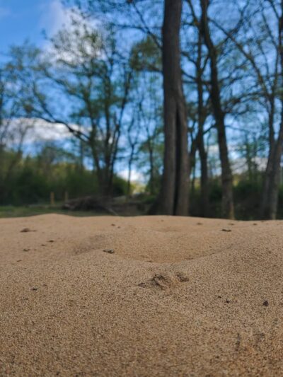 Gilbert Beach at Veteran's Park - Gilbert, WV