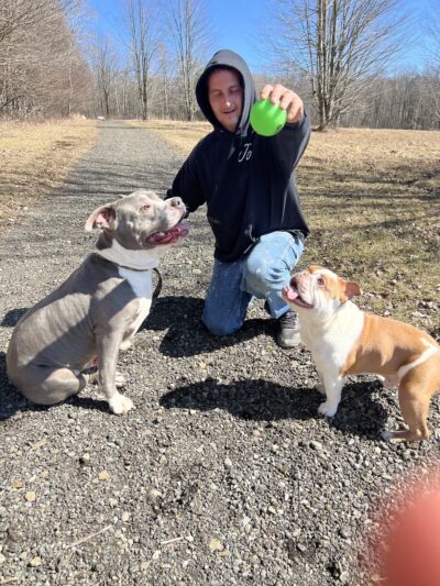 Wells Township Park - Gillett, PA