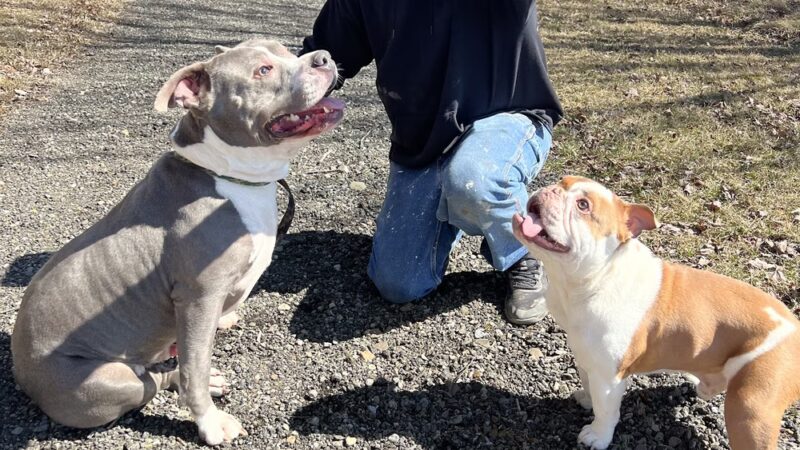 Wells Township Park - Gillett, PA