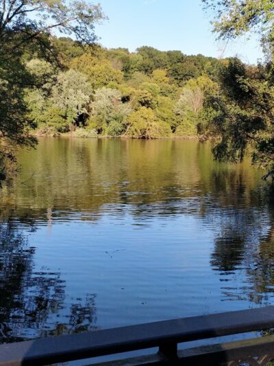 Flat Rock Park - Gladwyne, PA