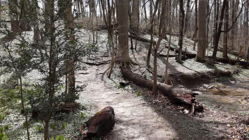 Henry Lane Park - Gladwyne, PA