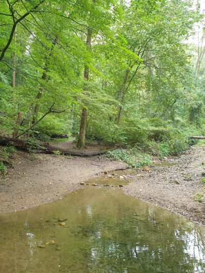 Henry Lane Park - Gladwyne, PA