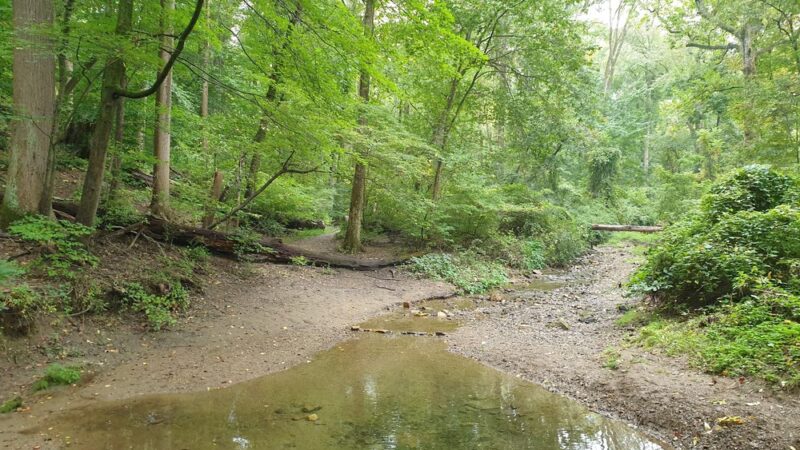 Henry Lane Park - Gladwyne, PA