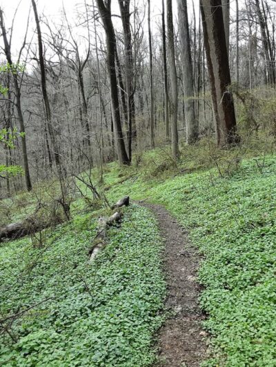 Henry Lane Park - Gladwyne, PA