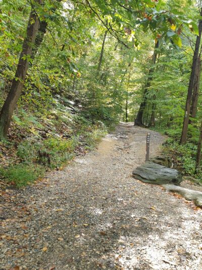 Henry Lane Park - Gladwyne, PA