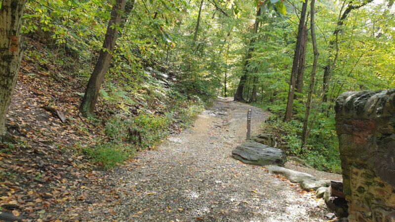 Henry Lane Park - Gladwyne, PA