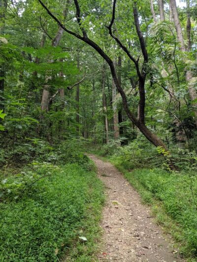 Rolling Hill Park - Gladwyne, PA