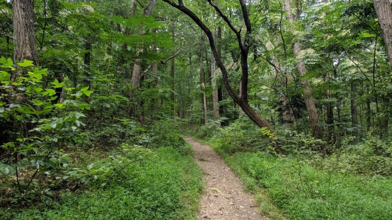 Rolling Hill Park - Gladwyne, PA