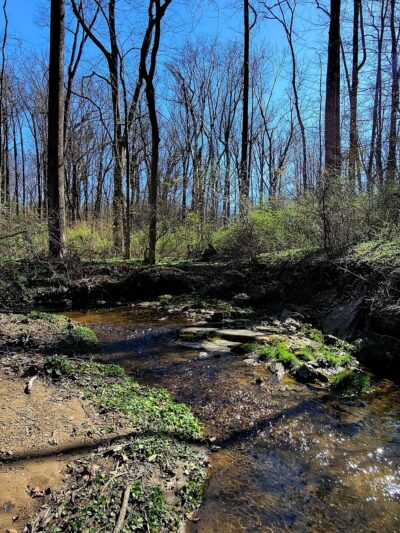 Winsor Trail - Gladwyne, PA