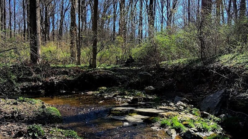 Winsor Trail - Gladwyne, PA