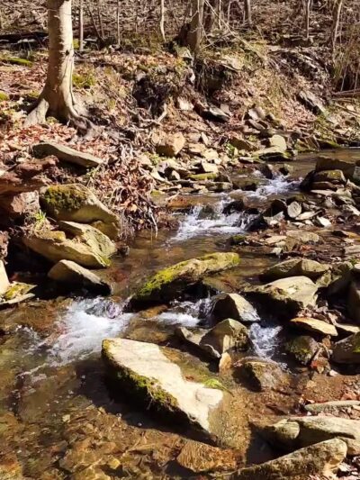 Winsor Trail - Gladwyne, PA