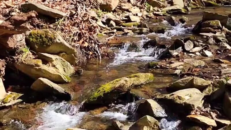 Winsor Trail - Gladwyne, PA