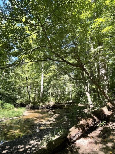 Winsor Trail - Gladwyne, PA