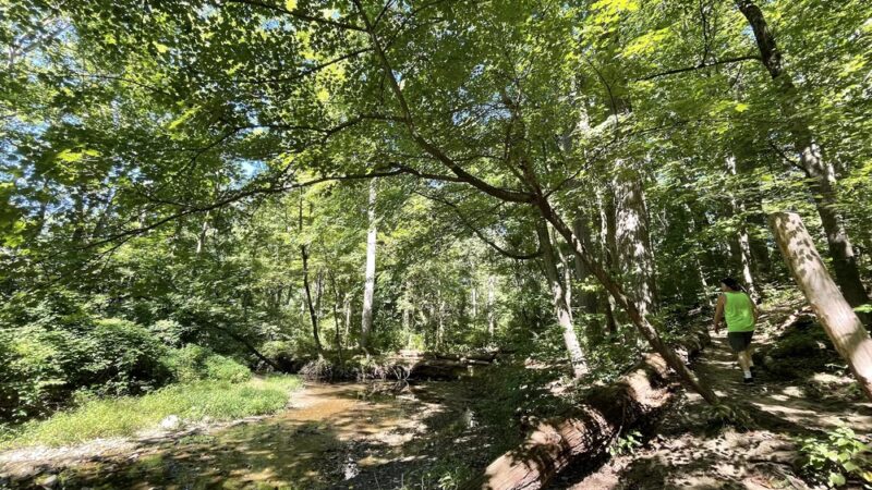 Winsor Trail - Gladwyne, PA