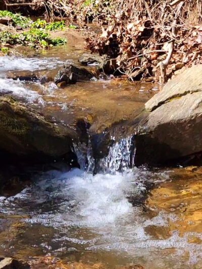 Winsor Trail - Gladwyne, PA