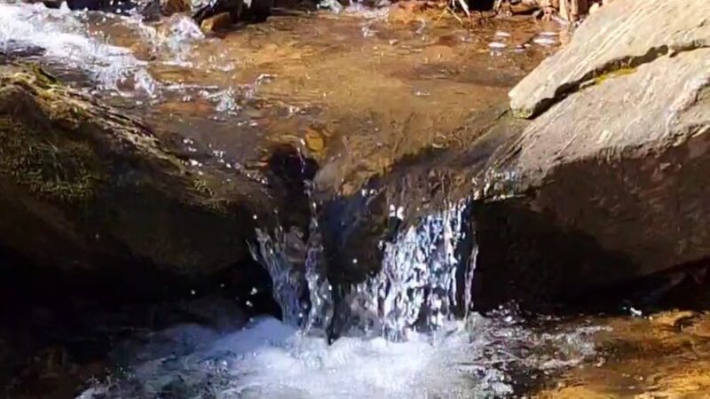 Winsor Trail - Gladwyne, PA