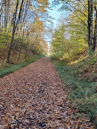 West Fork Rail Trail - Glady, WV