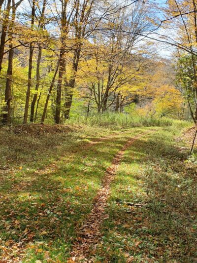 West Fork Rail Trail - Glady, WV