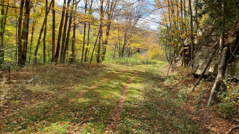 West Fork Rail Trail - Glady, WV