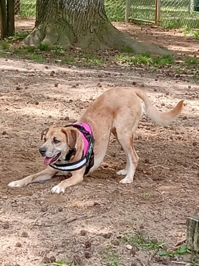 Weldon Park - Glasgow, KY