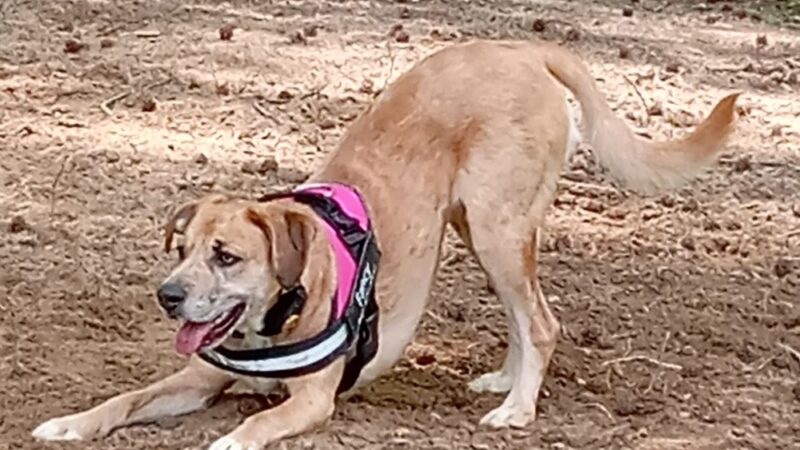 Weldon Park - Glasgow, KY