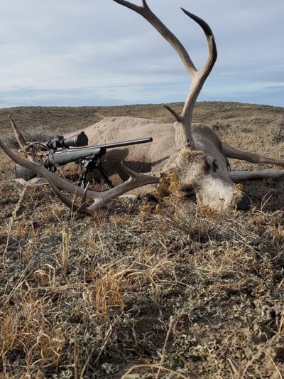 Billingsley Ranch Outfitters - Glasgow, MT