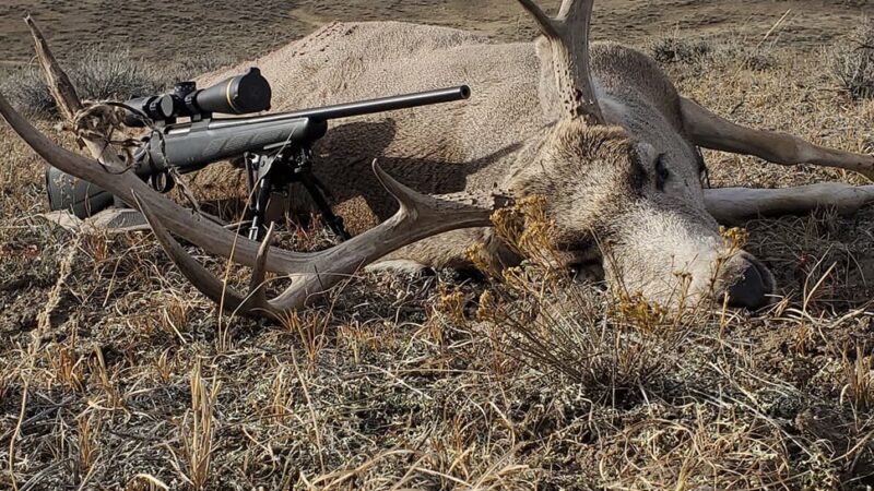 Billingsley Ranch Outfitters - Glasgow, MT