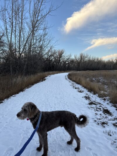 Milk River Trailhead at Sullivan Park - Glasgow, MT