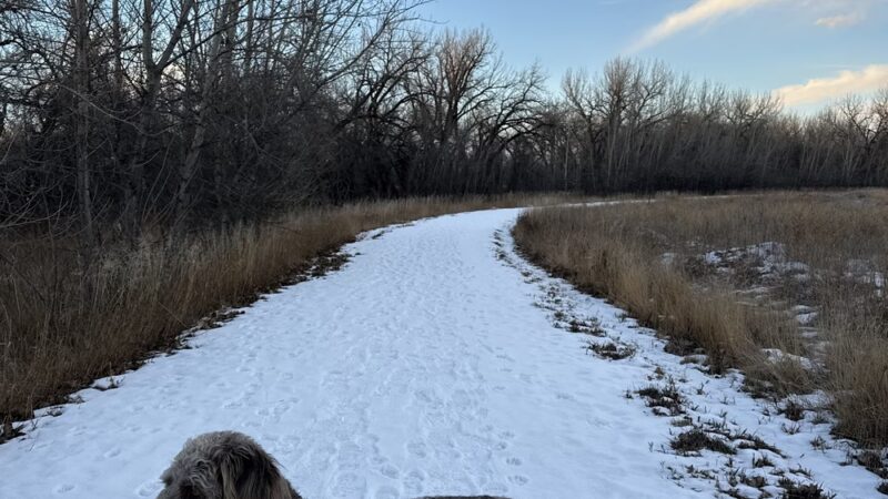 Milk River Trailhead at Sullivan Park - Glasgow, MT