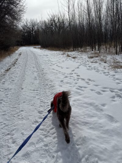 Milk River Trailhead at Sullivan Park - Glasgow, MT