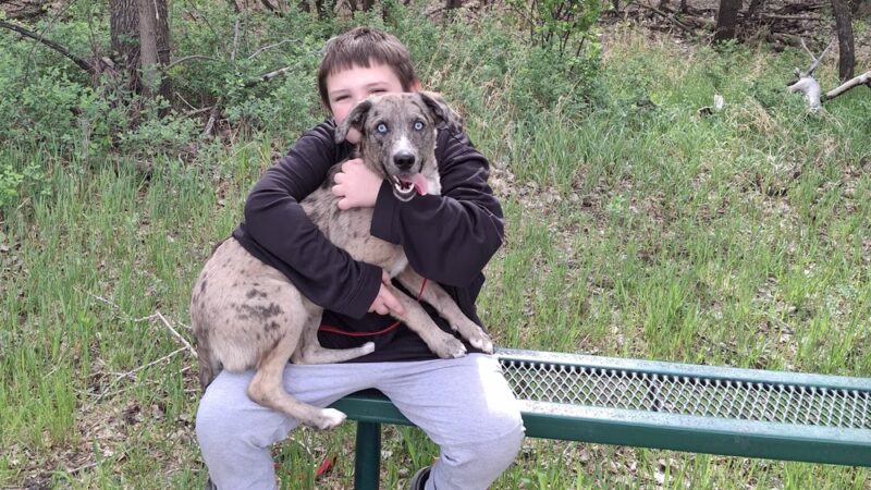 Milk River Trailhead at Sullivan Park - Glasgow, MT