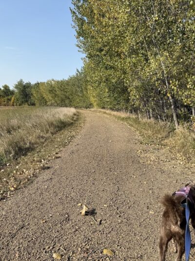 Milk River Trailhead at Sullivan Park - Glasgow, MT