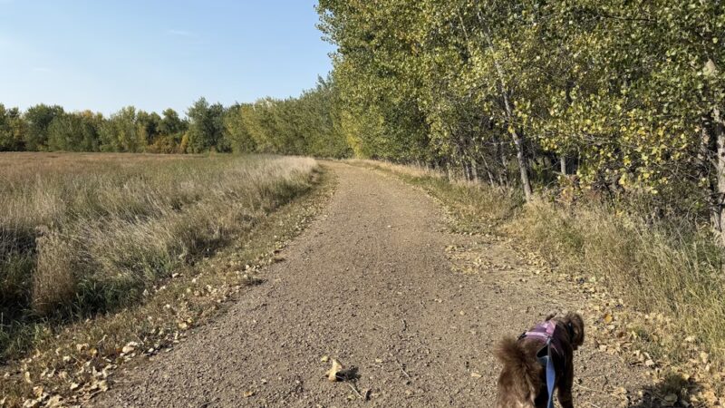 Milk River Trailhead at Sullivan Park - Glasgow, MT