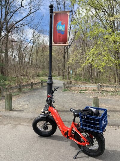 Park walk - Glastonbury, CT