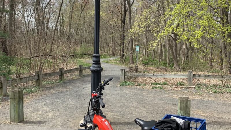 Park walk - Glastonbury, CT