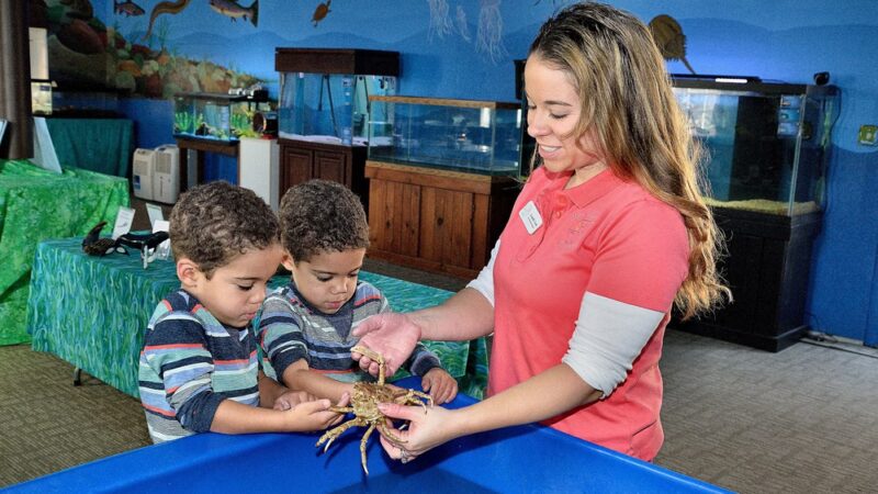Glen Echo Park Aquarium - Glen Echo, MD
