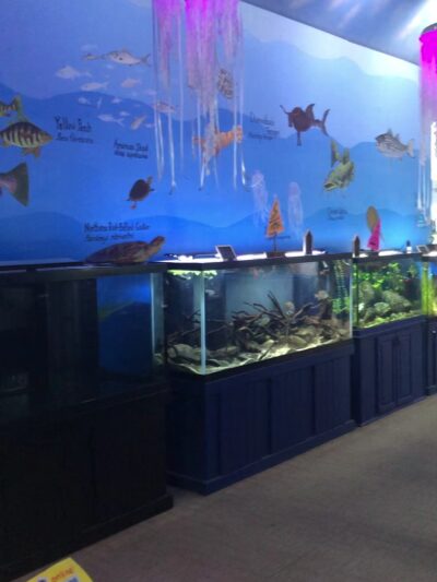 Glen Echo Park Aquarium - Glen Echo, MD