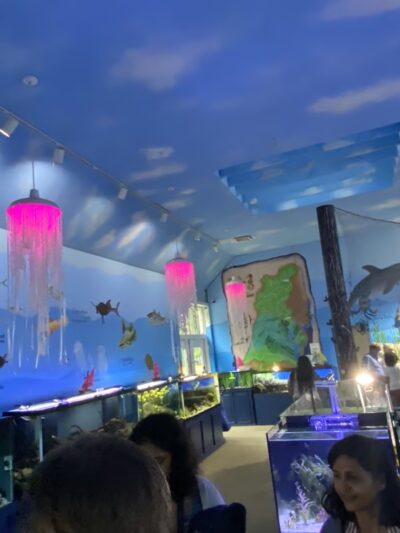 Glen Echo Park Aquarium - Glen Echo, MD