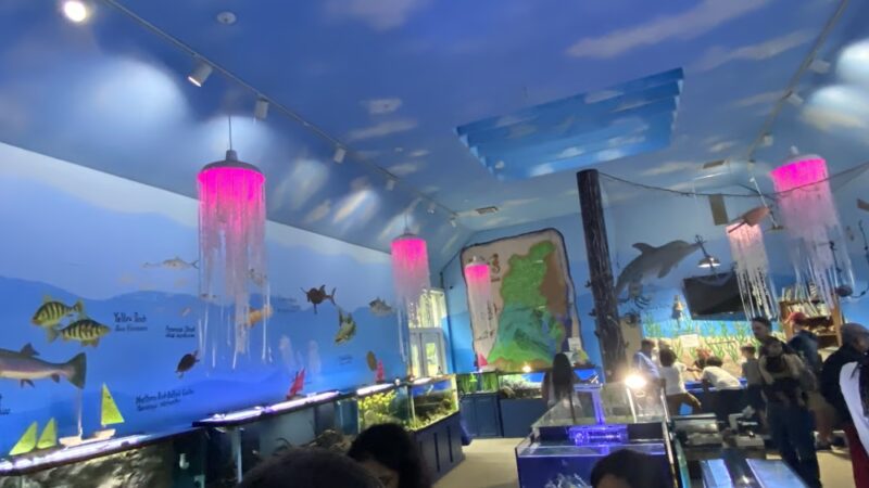 Glen Echo Park Aquarium - Glen Echo, MD