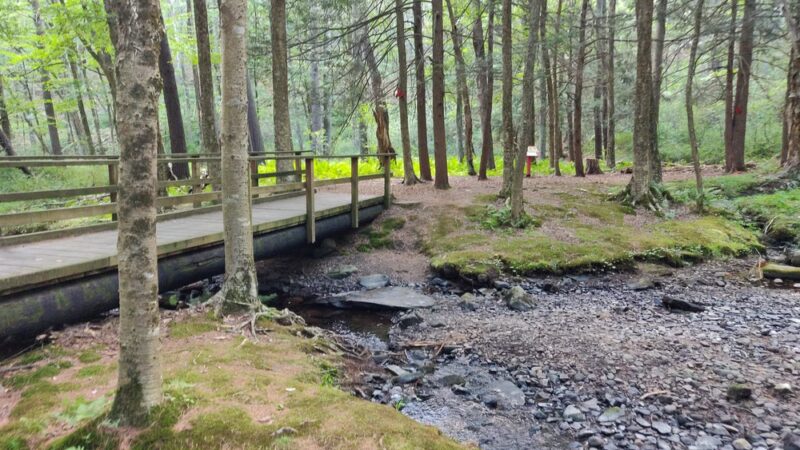 Circle Park - Glen Spey, NY